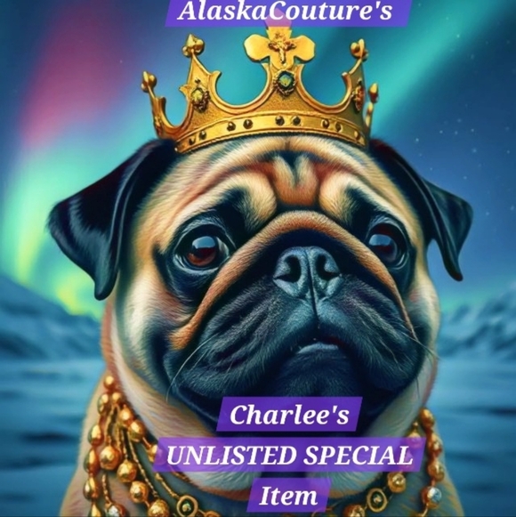 AlaskaCouture's 💰💲Charlee's 3.00 LOW START ITEM💲💰!!! - Picture 2 of 2